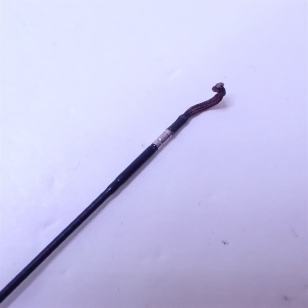 幻光　鯉３００